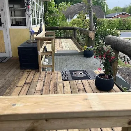 Homestay Filskov Filskov